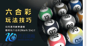 乐投体育彩票六合彩玩法 - 投注技巧